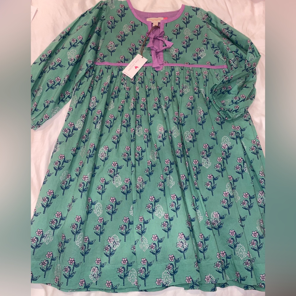 Pink Chicken jade Dress Green Flora NWT 7